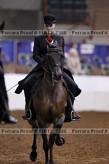 Proof 11r12_7388
