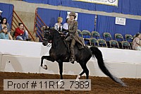 11r12_7389 proof