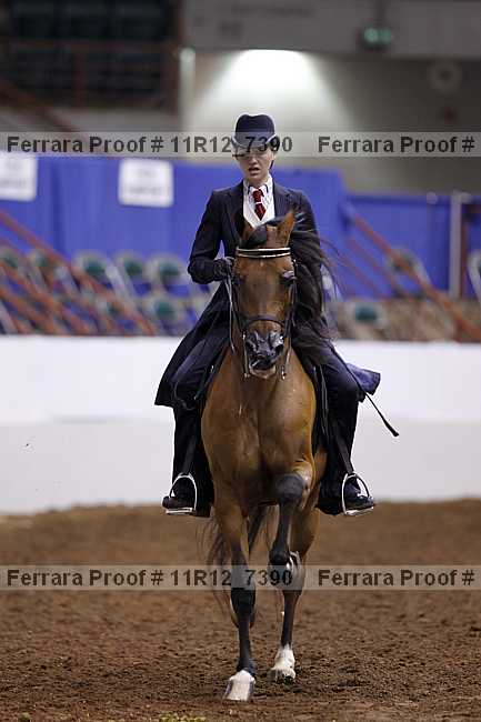 Proof 11r12_7390
