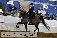 11r12_7391 proof
