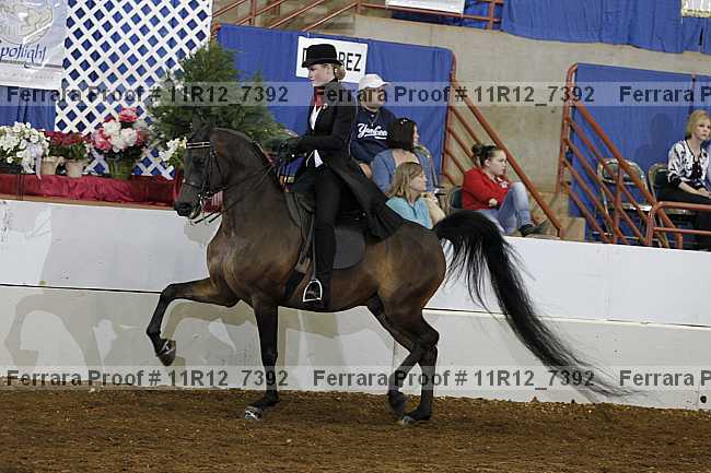 Proof 11r12_7392