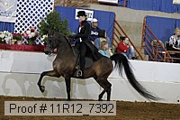 11r12_7392 proof