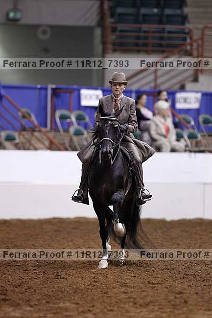 Proof 11r12_7393