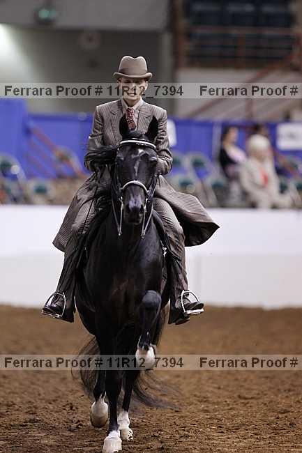 Proof 11r12_7394