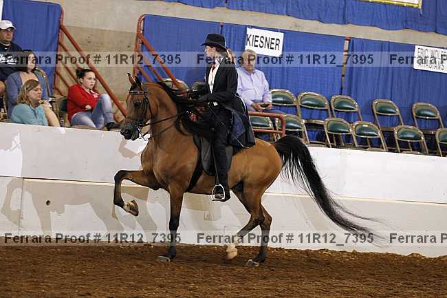 Proof 11r12_7395