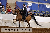 11r12_7395 proof