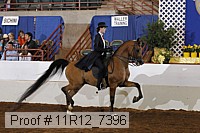 11r12_7396 proof