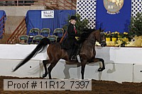 11r12_7397 proof
