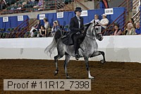 11r12_7398 proof
