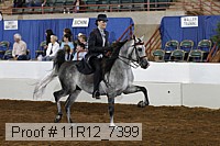 11r12_7399 proof