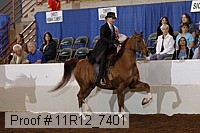 11r12_7401 proof