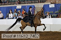 11r12_7402 proof