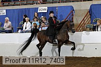 11r12_7403 proof