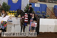 11r12_7408 proof