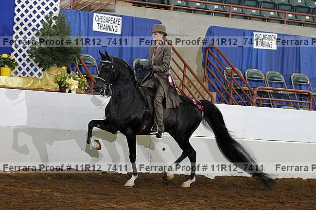Proof 11r12_7411