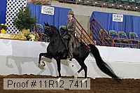 11r12_7411 proof