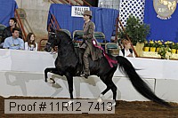 11r12_7413 proof