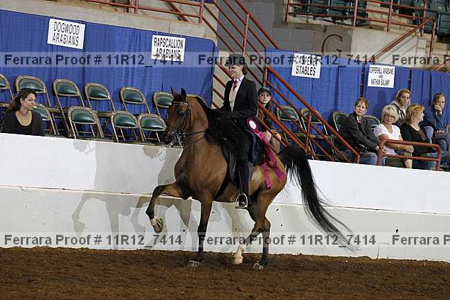 Proof 11r12_7414
