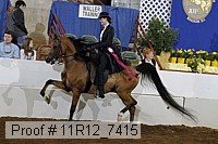 11r12_7415 proof