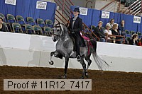 11r12_7417 proof