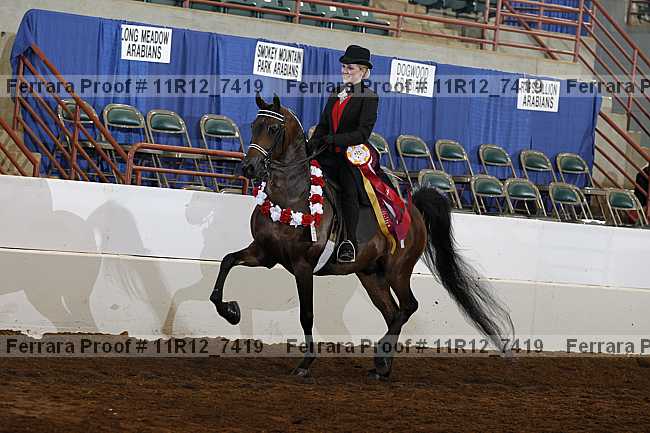 Proof 11r12_7419