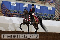 11r12_7419 proof