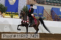 11r12_7421 proof