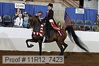 11r12_7423 proof