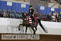 11r12_7427 proof