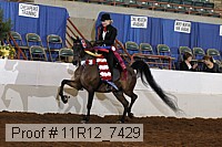 11r12_7429 proof