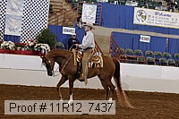 11r12_7437 proof