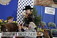 11r12_7438 proof