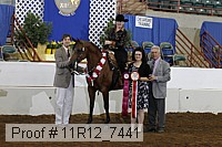 11r12_7441 proof