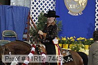 11r12_7443 proof