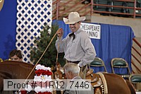 11r12_7446 proof