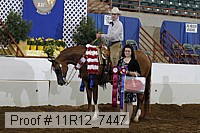 11r12_7447 proof