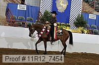 11r12_7454 proof