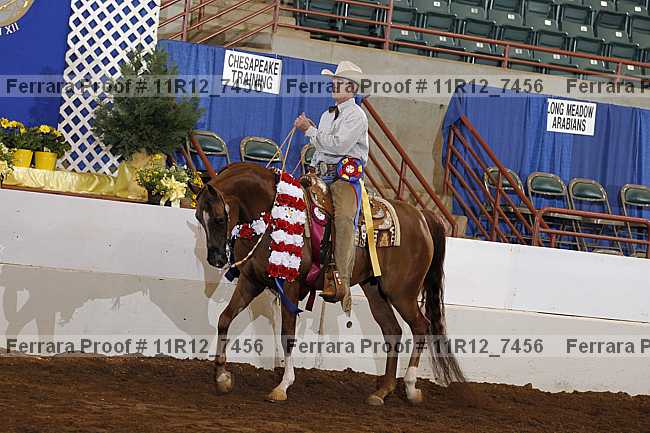 Proof 11r12_7456