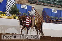 11r12_7456 proof