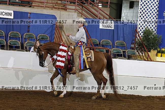 Proof 11r12_7457