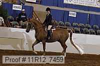 11r12_7459 proof