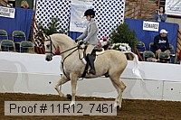 11r12_7461 proof