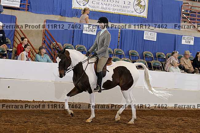 Proof 11r12_7462