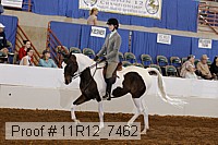 11r12_7462 proof