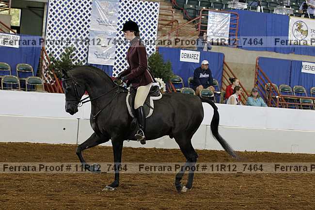 Proof 11r12_7464