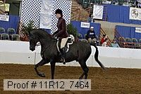 11r12_7464 proof