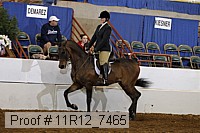 11r12_7465 proof