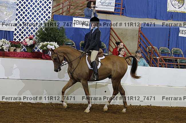 Proof 11r12_7471