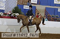 11r12_7471 proof
