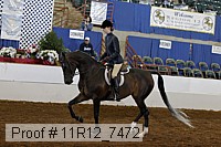 11r12_7472 proof